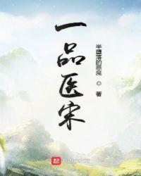一品医道无弹窗
